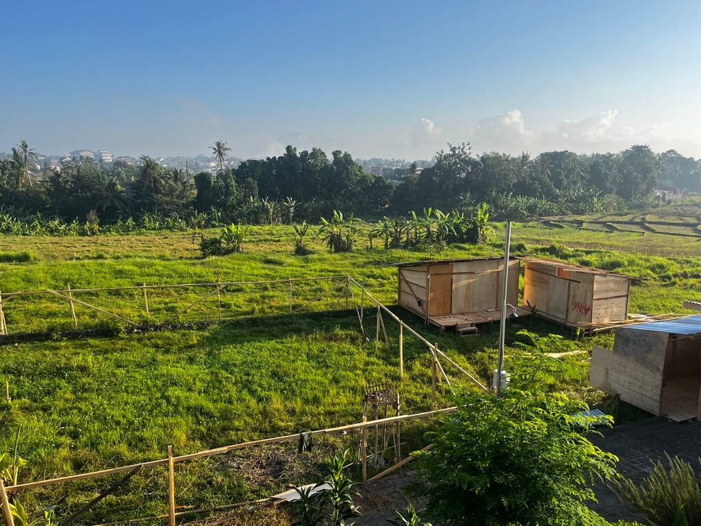 tourism construction in bali