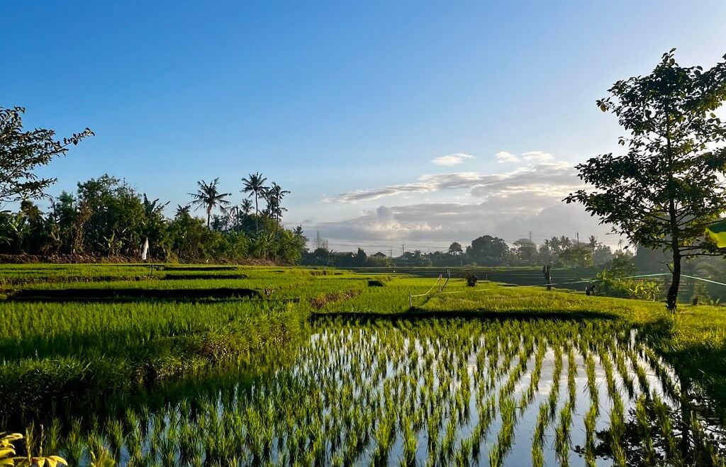 land prices in bali