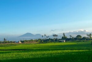 buy property in bali