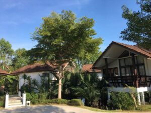 property lease in thailand