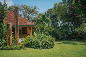 Short-term vs long-term property rental in Bali