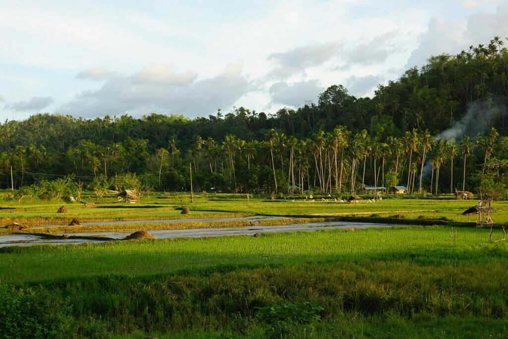 buying agricultural land in the Philippines