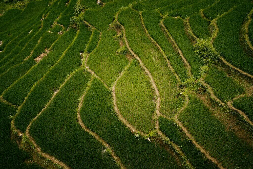 how to buy land in the philippines