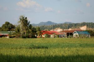 real estate in Vietnam