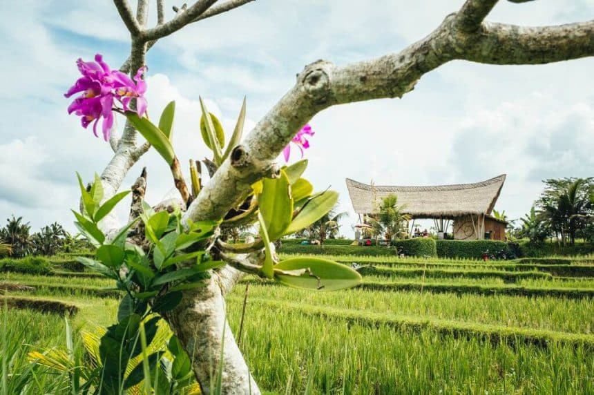 renting out villas in bali
